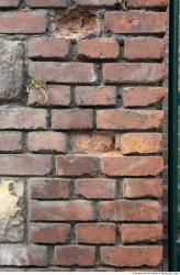 Wall Bricks Damaged